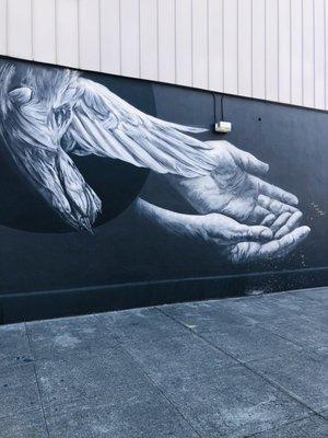 Open palms from dove