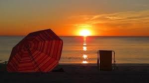 Jo Ann May - Realty Quest