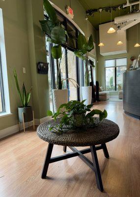 Eden Therapy and Massage