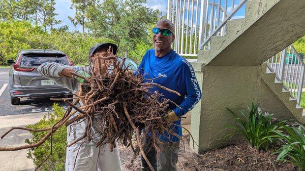 Andablade Commercial Lawn Care