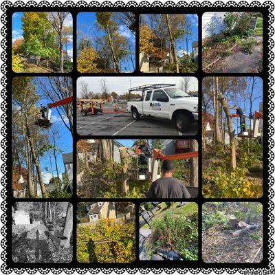 Your Way Home Improvements & Handyman Services