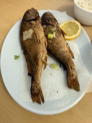 Jeonjoo Korean Restaurant