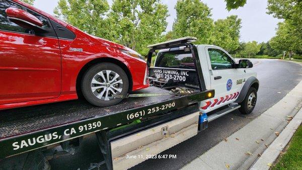 Lions Towing & Motors