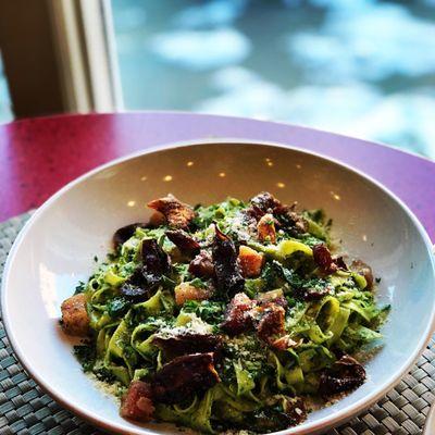 Hand rolled fettuccine, creamed spinach and pancetta