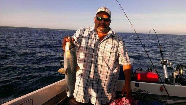 Whitefish are wonderful table fare. They can be targeted while trolling for Walleye.