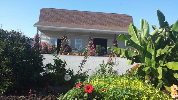 Newville Produce Farm