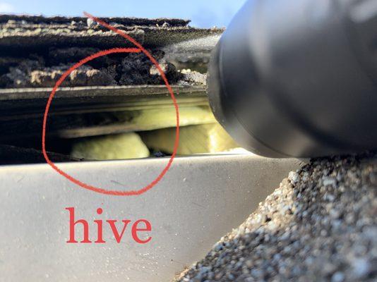 Unified Pest Services