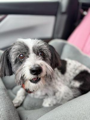 Nishu Bay Kennel & Grooming