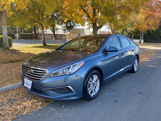 Gold Rush Auto Wholesale