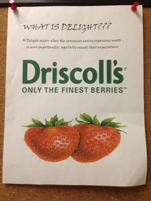 Driscoll Strawberry