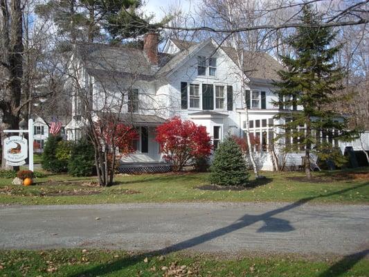 Cornucopia of Dorset