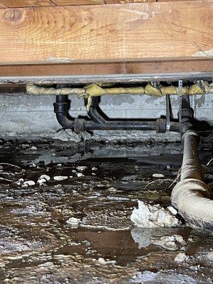 Absolute Rooter & Plumbing