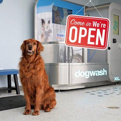 Diamond Waves and Wags