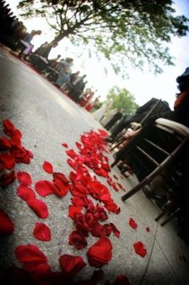 Jamie Jansen Photography