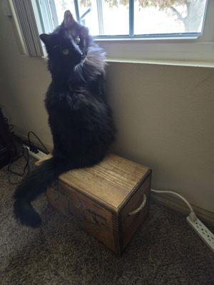 North Utah County Animal Shelter