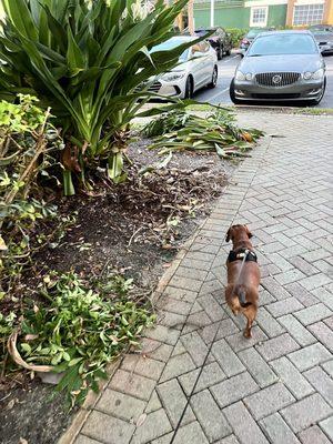 Sanctuary Cove Apartments