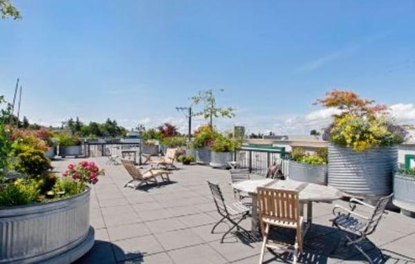 Admiral Condominiums Rooftop