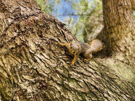 Carbon Canyon Regional Park