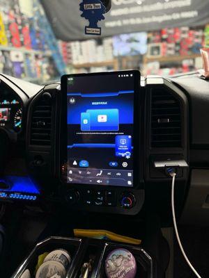 Dinosaudio Audio & Alarm Systems