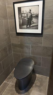 Kohler high-end veils are our specialties we can get you a nice Kohler toilet same day install.