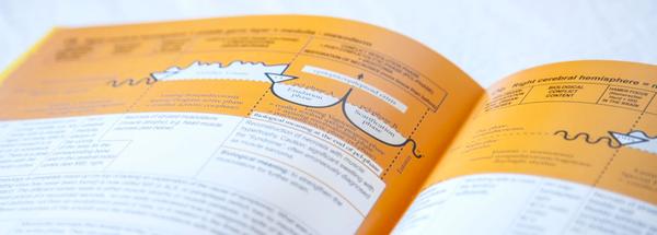 Dr. Neal Robert Smookler, New England's first German New Medicine consultant and therapist