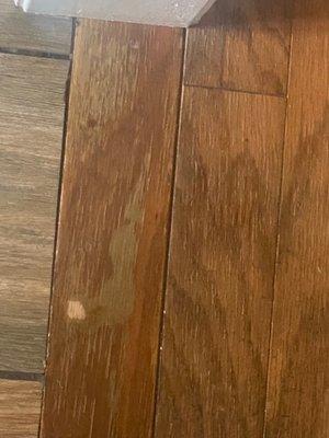 Carolina Hardwood Flooring