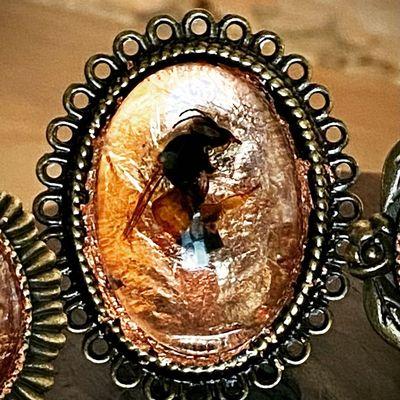 The Octopus and The Jackalope