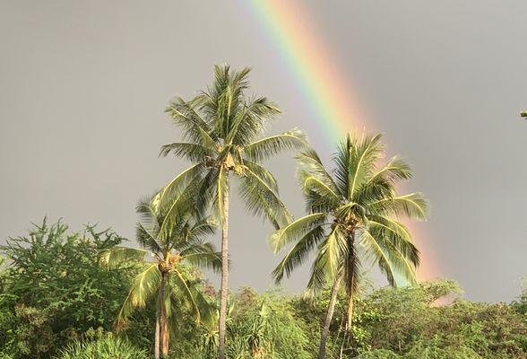 Tours and activities for all islands