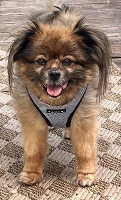 One hour after my First adjustment!