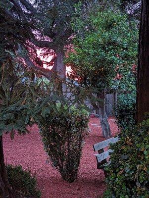 Sean's Tree Service & Landscaping