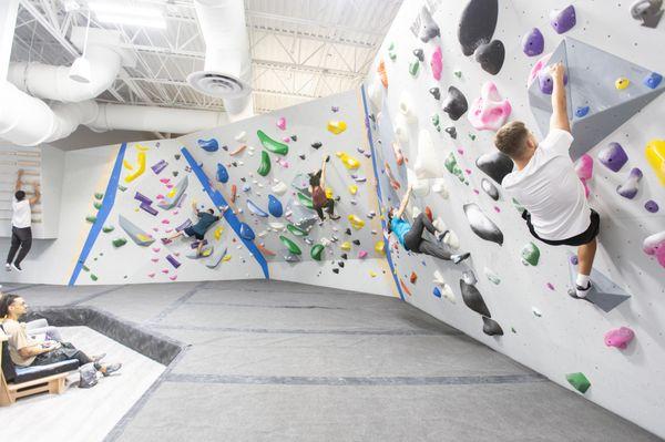 Central Rock Gym - Citrus Park