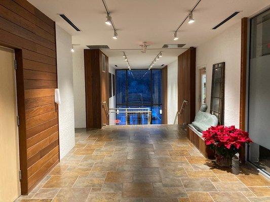 Elevate Mind-Body Wellness