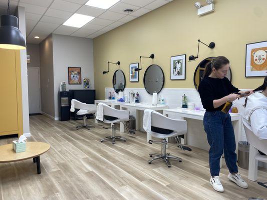 Hair Butterflies Lice and Nit Removal Salon