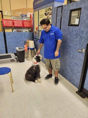 Zoey learning to sit on command at first lesson.