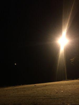 Williams Dam Fishing Area