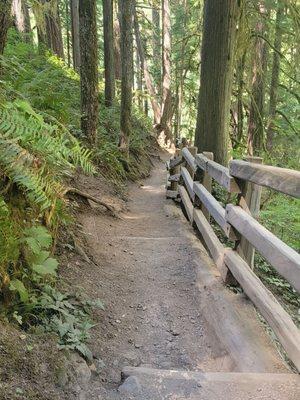 Olympic National Park
