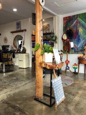 The waiting/entrance area of the salon.