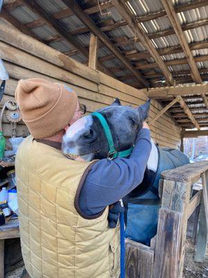 Salem Equine Mobile Service