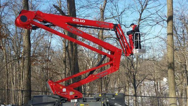 Saint Brown's Tree Service