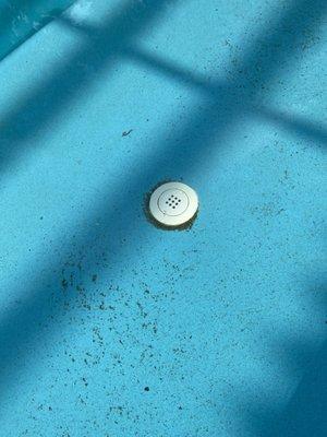 Pinch A Penny Pool Patio Spa