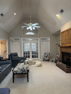 Mean Steam Carpet Cleaning