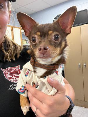 Lincoln Animal Shelter