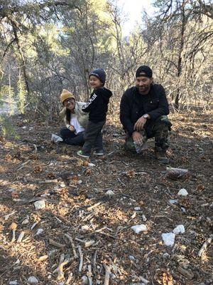 Looking for pine nuts