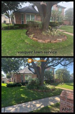 Vasquez lawn service