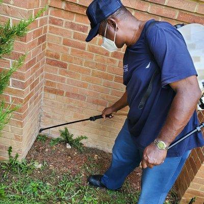 A/Accurate Termite Bed Bug Pest Control Company