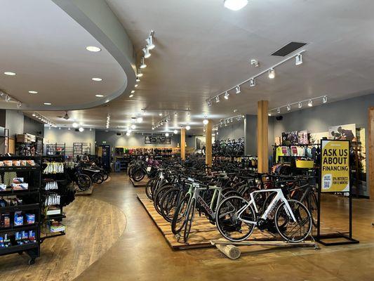Mike's Bikes of Los Gatos
