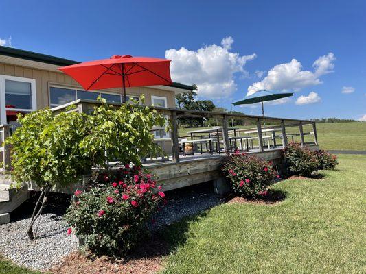 Dog and kid-friendly deck