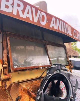 Bravo Animal Clinic