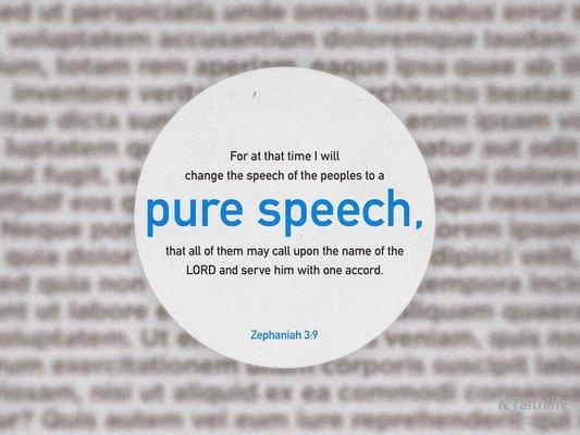 Stillmeadow Community Fellowship