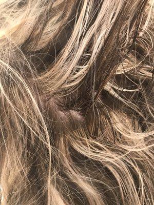 Jay Andrews Salon Spa Aveda